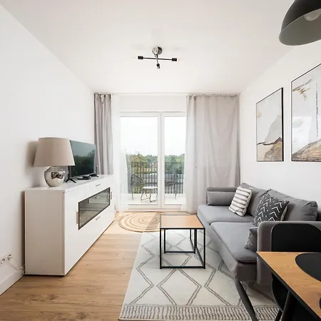 Sage Stylish By Bookinghost